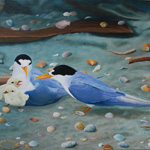 Fairy Terns