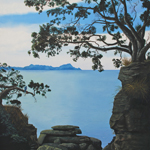 Kereru (Waipu)