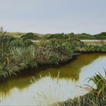 Wetlands