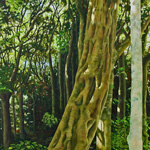 Rangi's Bush 1