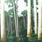Northland