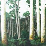 northland